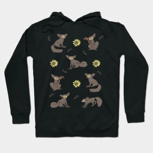 Aye-aye Hoodie